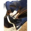 2006 EATON-SPICER R46170D AXLE HOUSING, REAR (REAR)