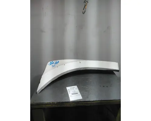 2019 FREIGHTLINER CASCADIA 126 FENDER EXTENSION